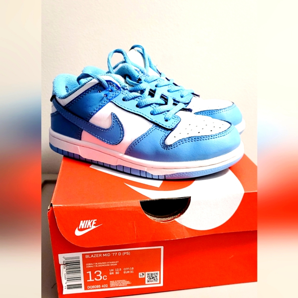 Blue nike dunks